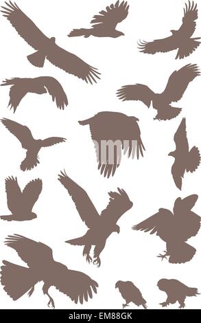 Prédateur d’oiseaux Illustration de Vecteur