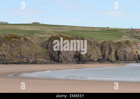 Plage à lunan bay angus ecosse avril 2015 Banque D'Images