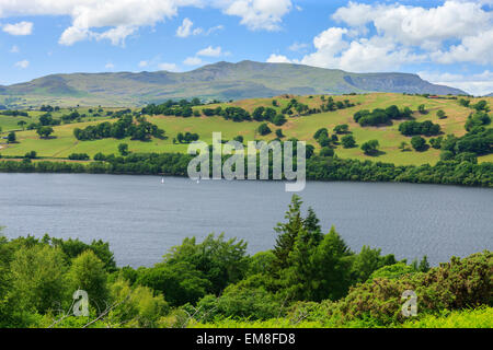 Llyn Tegid Lake Bala Gwynedd au Pays de Galles Banque D'Images
