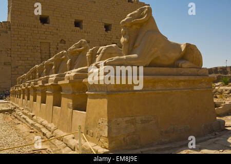 Sphinx à tête de bélier, symbole du dieu égyptien Amon, Temple de Karnak, Louxor, Egypte. Banque D'Images