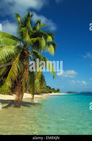 Îles Marshall, Calalin Island, l'atoll de Majuro et Lagoon Banque D'Images