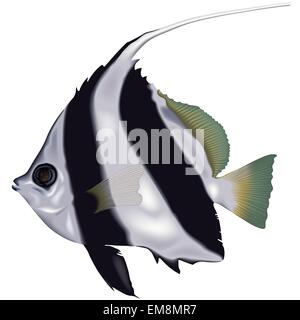 Poissons d’aquarium Illustration de Vecteur