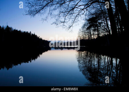 La Suède, petit lac au crépuscule avec calme eaux tranquilles et réflexion sur la surface de l'arbre Banque D'Images
