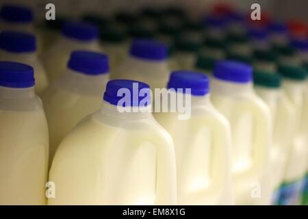 Lait sur une étagère de supermarché Banque D'Images