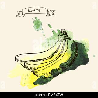 Hand drawn illustration de banana Illustration de Vecteur