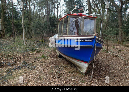 Leigh Woods, North Somerset, près de Bristol, Angleterre, Royaume-Uni 17 Avril 2015 5 bateaux de pêche ont été bloqués dans les bois dans le cadre d'une installation artistique par l'artiste Bristol Luke Jerram. Il s'appelle retirée et l'espoir d'attirer l'attention sur le changement climatique et la situation de l'industrie de la pêche en 2015, l'année de Bristol est capitale verte européenne. Il ouvre officiellement ses portes le samedi 18 avril. Carolyn Eaton / Alamy Live News Banque D'Images