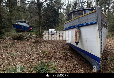 Leigh Woods, North Somerset, près de Bristol, Angleterre, Royaume-Uni 17 Avril 2015 5 navires de pêche ont été bloqués dans les bois dans le cadre d'une installation artistique par l'artiste Bristol Luke Jerram. Il s'appelle retirée et l'espoir d'attirer l'attention sur le changement climatique et la situation de l'industrie de la pêche en 2015, l'année de Bristol est capitale verte européenne. Il ouvre officiellement ses portes le samedi 18 avril. Carolyn Eaton / Alamy Live News Banque D'Images