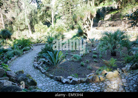 Les Jardins du Palais de Monserrate , Jardin mexicain - Sintra Portugal Banque D'Images