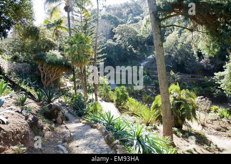 Les Jardins du Palais de Monserrate , Jardin mexicain - Sintra Portugal Banque D'Images