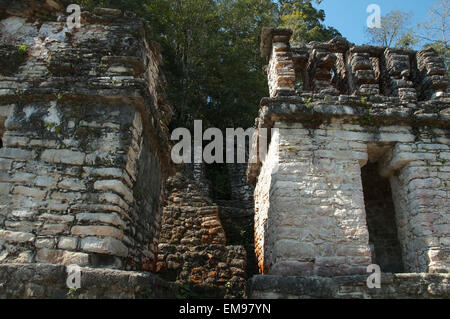 Des structures sur l'Acropole, Bonampak, Chiapas, Mexique Banque D'Images