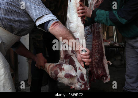 Rudolf boucher coupe Sainte un cochon au cours d'un abattage de porcs traditionnels public Mardi Gras appelé 'zabijacka' dans le village de Vsen près de Turnov, République tchèque. Banque D'Images