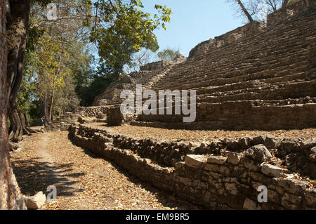 À l'Ouest Acropole, Yaxchilan, Chiapas, Mexique Banque D'Images