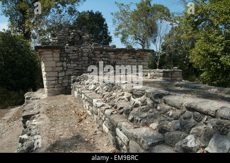 À l'Ouest Acropole, Yaxchilan, Chiapas, Mexique Banque D'Images