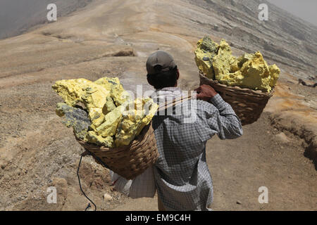 Kawah Ijen des mines de soufre, de l'Est de Java, Indonésie. Miner porte paniers pleins de soufre dans les fumées toxiques des gaz volcaniques. Banque D'Images