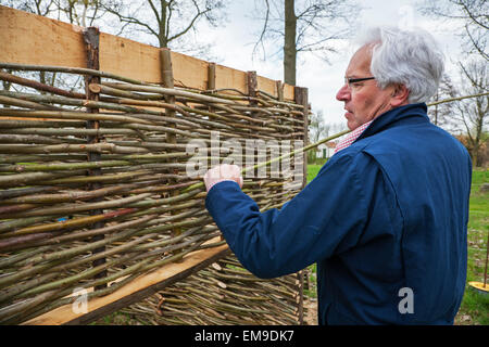Faire artisan wattle traditionnelles clôtures par des branches de saule mince de tissage Banque D'Images