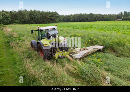 Tracteur avec barre de coupe / single-bar / tondeuse tondeuse à gazon coupe barre de faucille dans le pré Banque D'Images