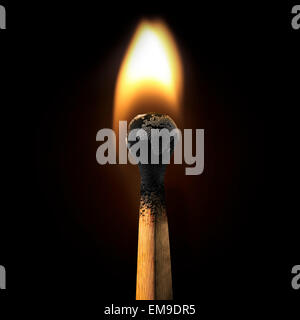 3D render of burning Earth matchstick Banque D'Images