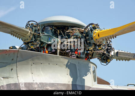 Tête de rotor d'un Sea King de la Marine royale hélicoptère ASaC7 Banque D'Images