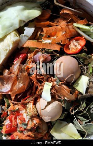 Les déchets de la cuisine et du jardin pour le compost ou wormery. Banque D'Images