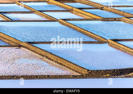 La raffinerie de sel, Saline de Janubio, Lanzarote, Espagne Banque D'Images