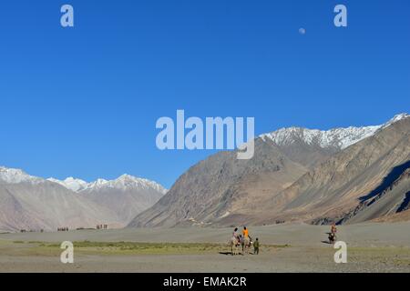 La Vallée de Nubra, Inde, Ladakh, paysage, ses dunes de sable, Montagnes Banque D'Images