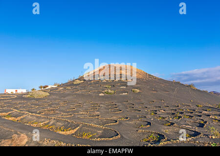 Volcan de La Geria, Lanzarote Banque D'Images