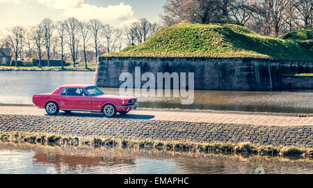 Mustang à Naarden Banque D'Images