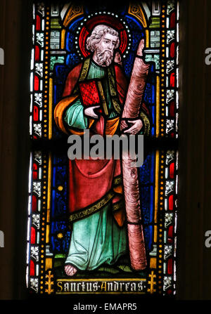 Vitrail représentant Saint Andrew ou Andreas et sa croix, dans la Cathédrale de Saint Truiden dans le Limbourg, Belgique. Banque D'Images