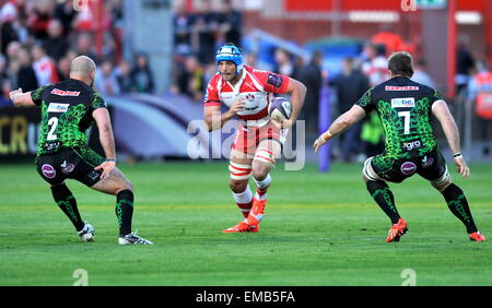 Gloucester, Royaume-Uni. 18 avr, 2015. Mariano Galarza de Gloucester Rugby en action au cours de l'Rugby Challenge Cup demi-finale entre Gloucester Rugby vs Exeter Chiefs au stade Kingsholm Credit : Action Plus Sport/Alamy Live News Banque D'Images