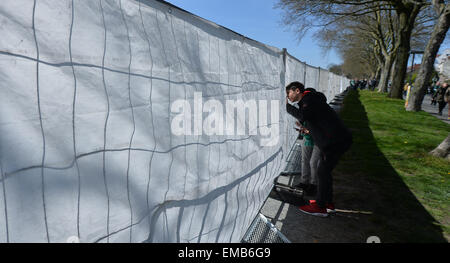 Brême, Allemagne. Apr 19, 2015. Un garçon regarde à travers une barrière avant le début de la Bundesliga match de football entre le Werder Brême et Hambourg SV à Brême, Allemagne, 19 avril 2015. Une clôture avec la protection de la vision a été mise en place afin de maintenir la part des fans. Photo : CARMEN JASPERSEN/dpa/Alamy Live News Banque D'Images