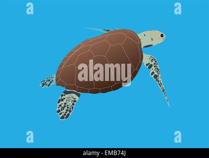 Une tortue imbriquée une espèce en Natation en Eau Libre Illustration de Vecteur