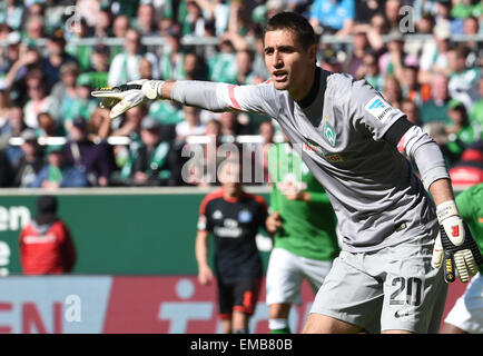 Brême, Allemagne. Apr 19, 2015. Le Werder gardien Koen Casteels gestes au cours de la Bundesliga match de football entre le Werder Brême et Hambourg SV à Brême, Allemagne, 19 avril 2015. Photo : CARMEN JASPERSEN/dpa (EMBARGO SUR LES CONDITIONS - ATTENTION - En raison de la lignes directrices d'accréditation, le LDF n'autorise la publication et l'utilisation de jusqu'à 15 photos par correspondance sur internet et dans les médias en ligne pendant le match)/dpa/Alamy Live News Banque D'Images