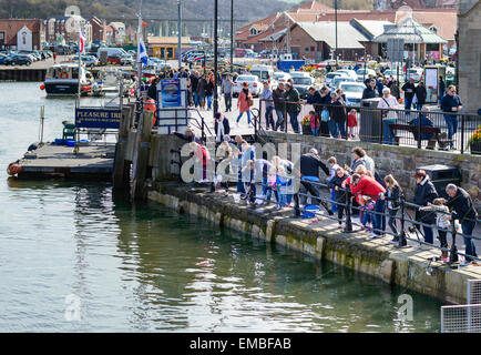 Famille la pêche de poissons et de crabes dans le port, à Whitby, North Yorkshire, Angleterre. Le 18 avril 2015. Banque D'Images