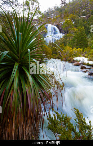 Graal Falls - murs de Jérusalem National Park - Tasmanie - Australie Banque D'Images