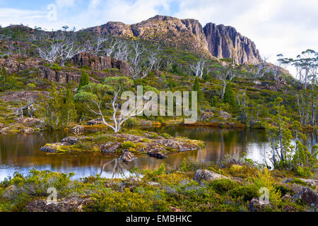 La montagne fortifiée de Cradle Mountain - Lake St Clair National Park - Tasmanie - Australie Banque D'Images