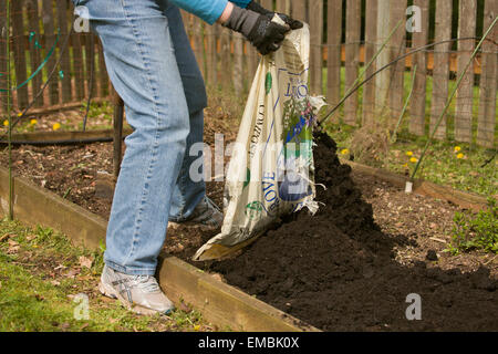 L'ajout de compost pour femme une petite cuisine jardin à Issaquah, Washington, USA Banque D'Images