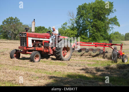 Man on International Harvester Farmall tracteur tirant un râteau à foin à ratisser le foin dans un champ près de Galena, Illinois, USA. Banque D'Images