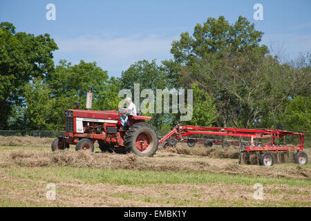 Man on International Harvester Farmall tracteur tirant un râteau à foin à ratisser le foin dans un champ près de Galena, Illinois, USA. Banque D'Images