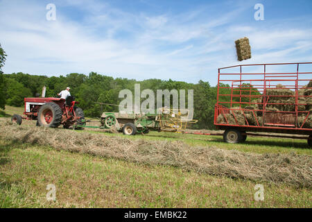 International Harvester Farmall homme sur le tracteur, la mise en balles de foin dans un champ avec un vol de balle en l'air, près de Galena, Illinois, USA Banque D'Images