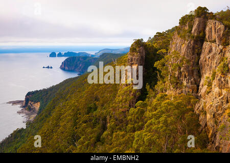 Vue de Clemes Peak - Tasman National Park - Tasmanie - Australie Banque D'Images