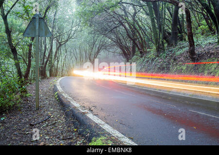 Location de light trails sur route forestière Banque D'Images