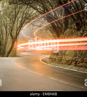 Location de light trails sur route forestière Banque D'Images