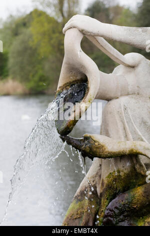 Fontaine décorative Swan dans les algues Banque D'Images