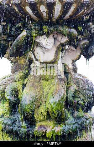 Fontaine décorative dans les algues Banque D'Images