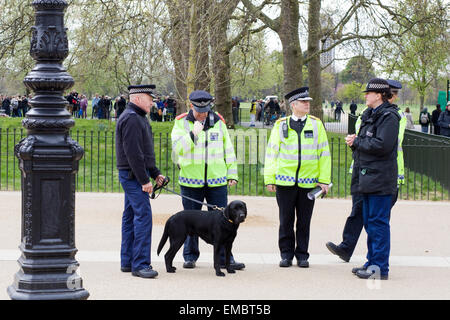 Des agents de police de Hyde Park Londres en patrouille à la recherche de personnes en possession de cannabis avec un chien renifleur Banque D'Images