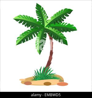 Green palm tree sur un sol sablonneux et un fond neutre Illustration de Vecteur