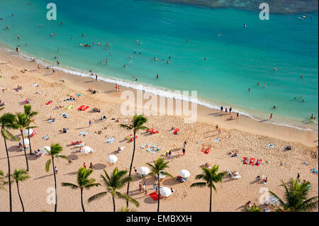 La plage de Waikiki, Oahu, Hawaii Banque D'Images