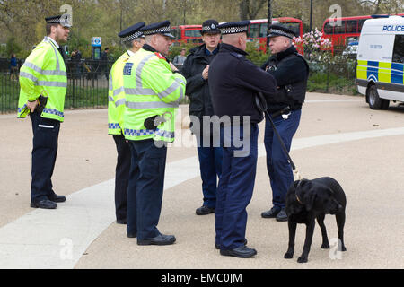 Des agents de police de Hyde Park Londres en patrouille à la recherche de personnes en possession de cannabis avec un chien renifleur Banque D'Images