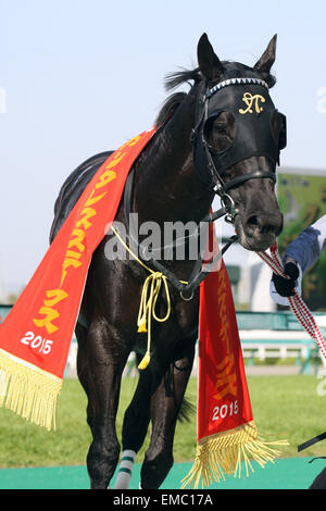 Kurino Star O, 18 avril 2015 - Les courses de chevaux : Kurino Star O après avoir remporté l'Antares Enjeux Hippodrome de Hanshin à Hyogo, Japon. (Photo par Eiichi Yamane/AFLO) Banque D'Images
