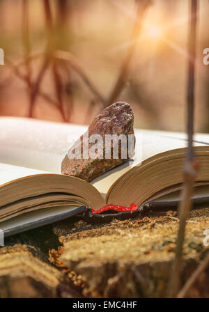 Un livre sur un tronc d'arbre avec une pierre sur une page et un fort effet de soleil chaud et Banque D'Images